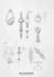 sketch your jewelry design ideas