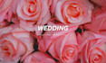 publish wedding guest post with powerful wedding backlinks