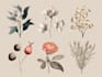 design boho chic hand drawn botanical logo