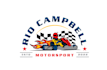 design a professional pilot, tourism, racing, driver logo