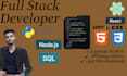 do custom website backend, frontend web developer