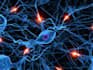 create machine learning and deep learning models