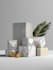 design can, bottle packaging, drink packaging design