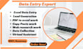 do all data entry, lead generation, pdf to excel, copy paste services