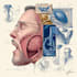 design medical and scientific illustration
