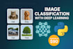 build custom computer vision models using deep learning