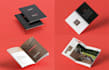 professional flyer brochure catalog print and digital ready