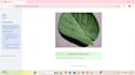 build and train deep learning models using CNN, rnn, and ann