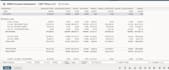 custom netsuite suitescript and workflow automation services
