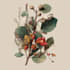 paint watercolour botanical illustrations
