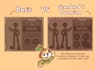 draw a character sheet for your oc, furry or human