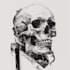 draw black and white illustrations