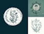 create beautiful hand drawn botanical boho logo