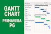 professionally create project scheduling in ms project and primavera p6