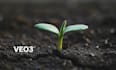 deliver high quality veo3 videos