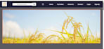 create responsive sites with pug CSS and node js