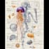 design medical and scientific illustration