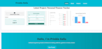 do react dev, editing, writing, designing
