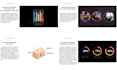 create a 2d animated explainer video, infographic, graphs, charts and counters
