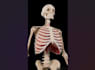 do 3d medical device animation 3d surgical device animation 3d medical explainer