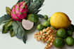 draw realistic plants, vegetables, fruits