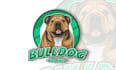 create high quality dogs, cats, pets cartoon logo