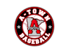 design graceful baseball logo