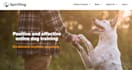 build squarespace dog trainer website squarespace pet services groomer website