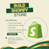 build a professional and responsive shopify store
