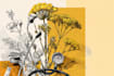 medical object include linocut style botanical illustration