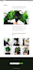 design, redesign and develop you an elegant website