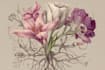paint botanical and scientific illustrations