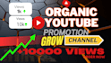 do organic youtube video promotion