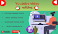 do edit professional youtube  ,shorts reels viral video edit