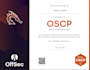 perform professional penetration testing on your web app