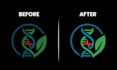 vectorize, redraw logo, fix, edit or redesign