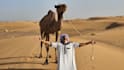 do tik tok dance, dance video, dance camel, group dance
