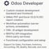 customize your odoo solutions