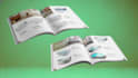 design a professional product catalog, company profile, or business plan PDF