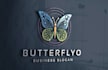design a unique butterfly logo with a soft touch