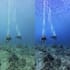 remove green tint and enhance your underwater photos