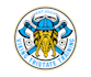 do make an modern viking logo