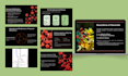 design powerpoint presentation, research slides,  and pitch deck