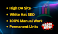 manually build 100 high da profile backlinks for fast google ranking