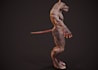 deliver non humanoid character,nsfw model,vrm model,rig3d,creature model,texture