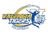 design wonderful volleyball logo
