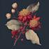 make a beautiful vintage botanical illustration poster