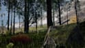 create a custom 3d game open world environment using unity and unreal engine
