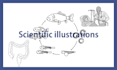 design science and biology diagrams and illustrations