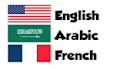 professional translation fast and accurate